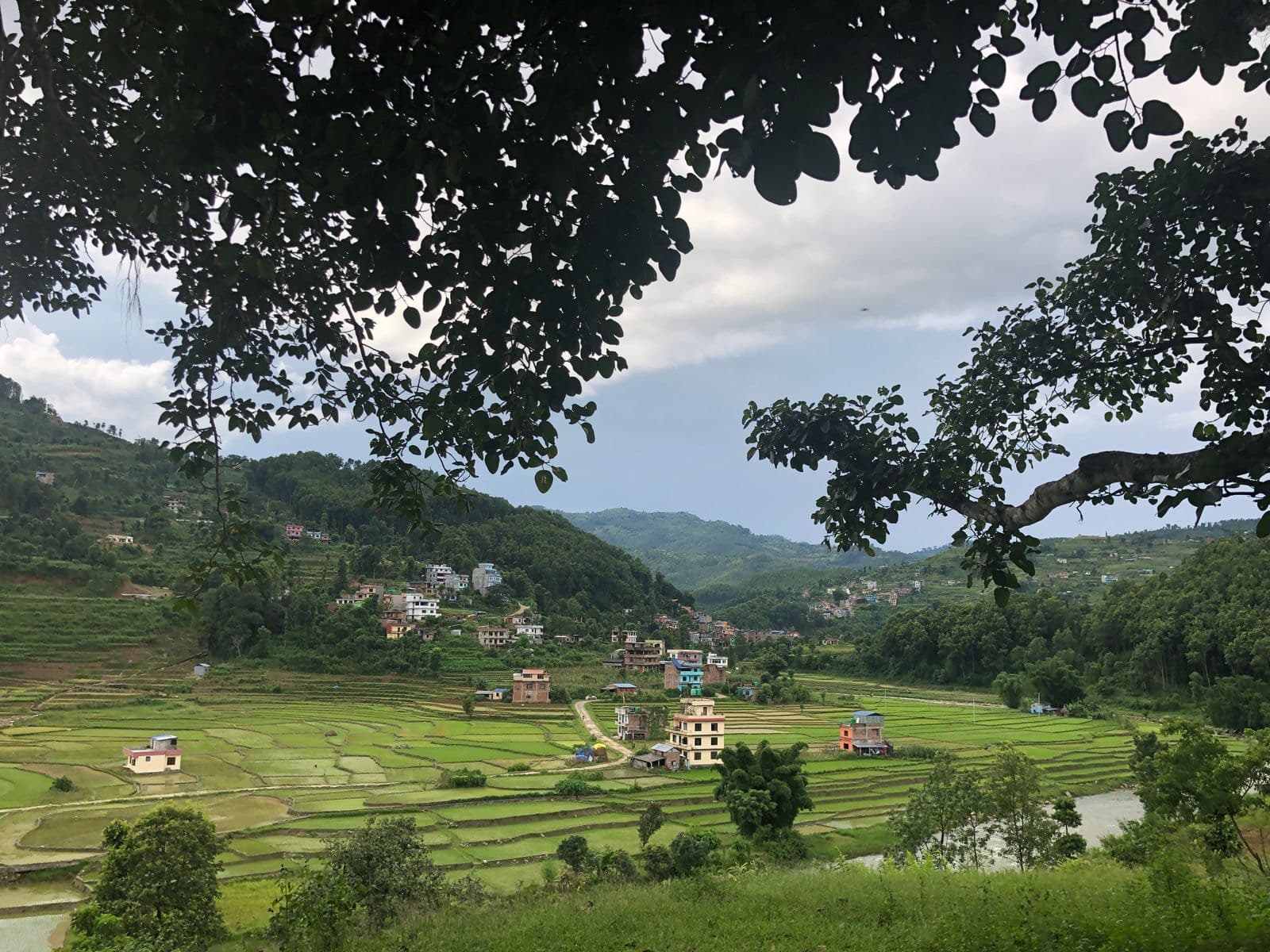 Houses standing among green rice fields in a Nepali valley