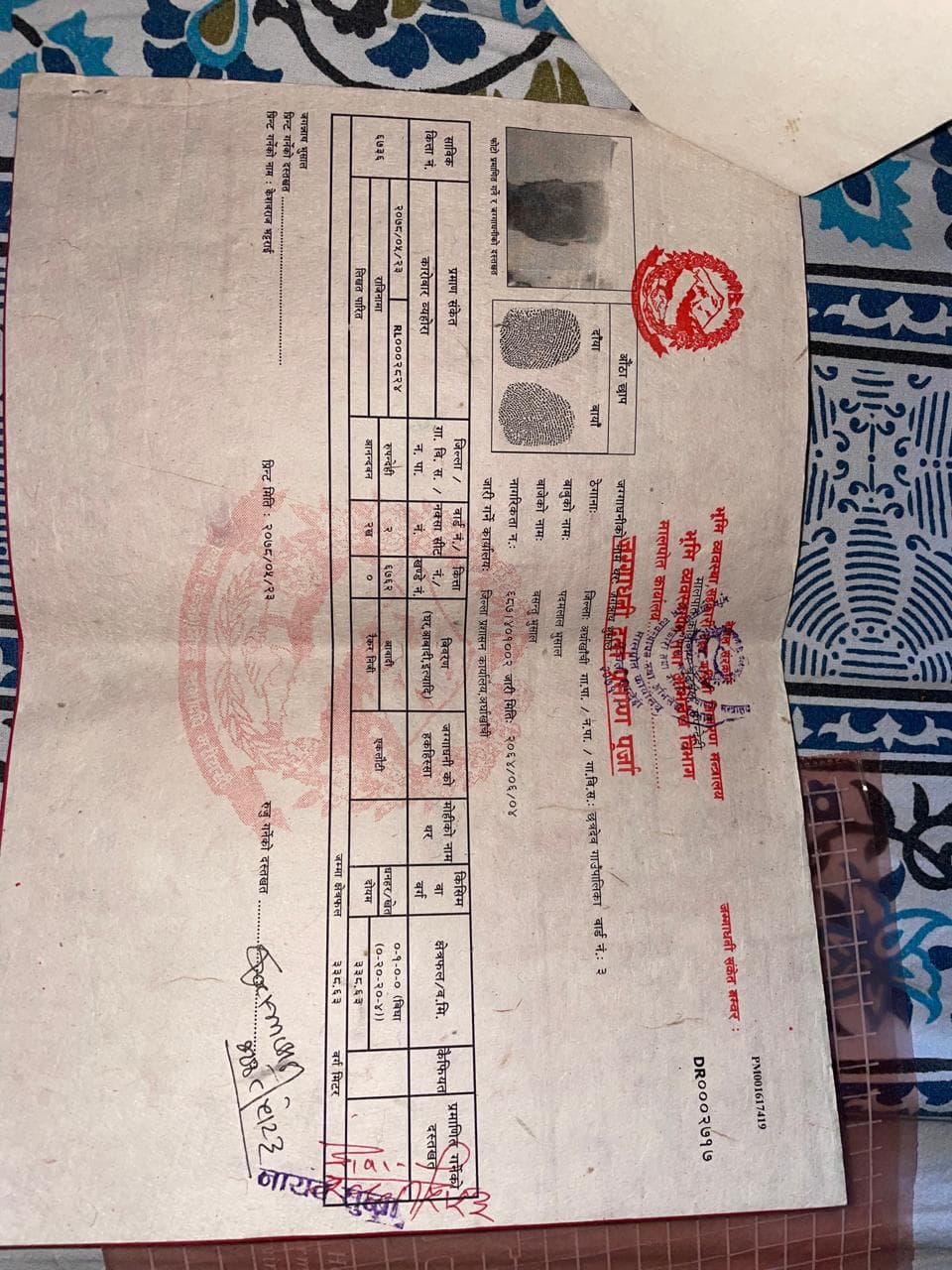 bhanbatika bata najikai chha