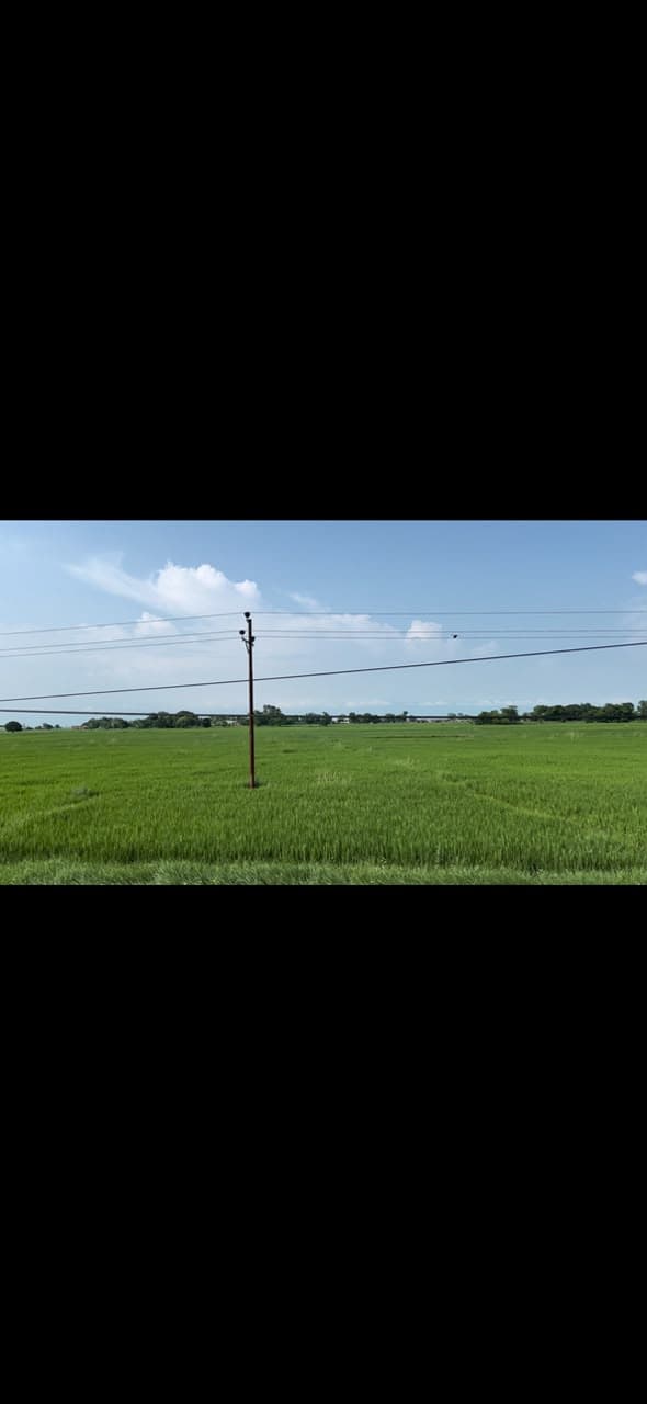 Land for Sale in Lumbini